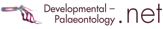 developmental-palaeontology.net